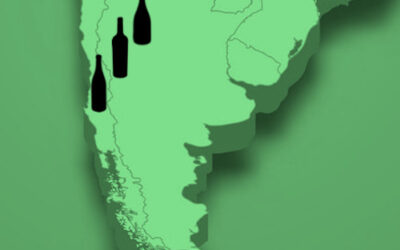 Patagonian Wine Tasting Event