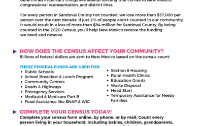 Gift Card Giveaway – Census2020