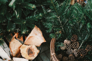 Pine Boughs and Firewood